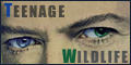 Visit Teenage Wildlife -a DB site